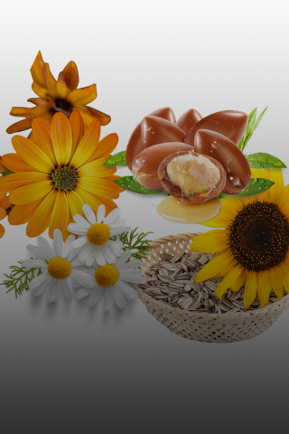 Óleos vegetais que podem ser usados