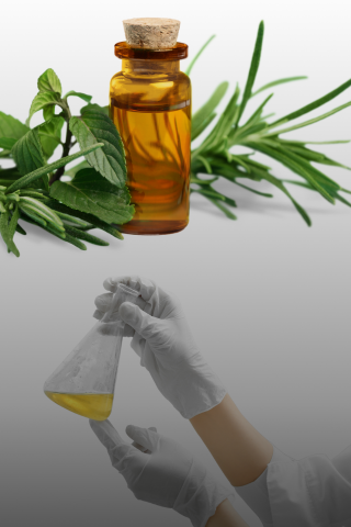 Diferenca entre oleo essencial e essencia